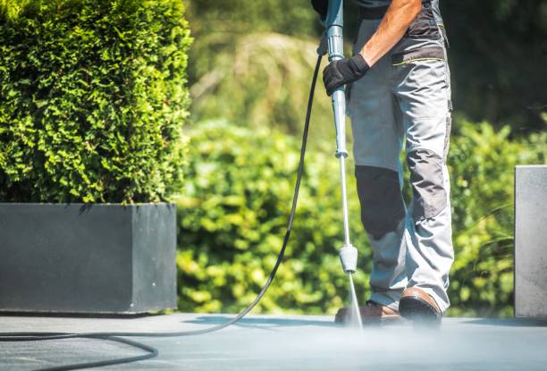 Best Boat and Dock Cleaning  in Mlstadt, IL