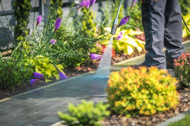 Best House Exterior Washing  in Mlstadt, IL